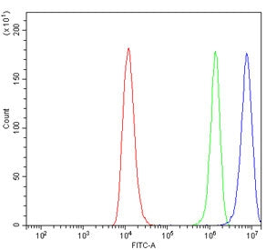 Flow cytometry testing of human RT4 cells with ALDH3 antibody at 1ug/million cells (blocked with goat sera); Red=cells alone, Green=isotype control, Blue= ALDH3 antibody.