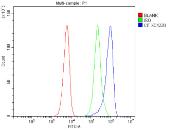 Flow Cytometry analysis of SiHa cells using anti-CIT antibody. Overlay histogram showing SiHa cells 