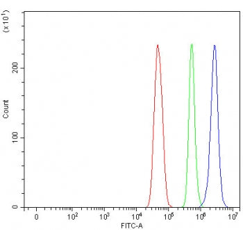 MAGEC3 Antibody / Melanoma-associated antigen C3