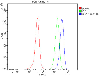 Flow Cytometry analysis of SH-SY5Y cells using anti-SH2B1 antibody. Overlay histogram showing SH-SY5