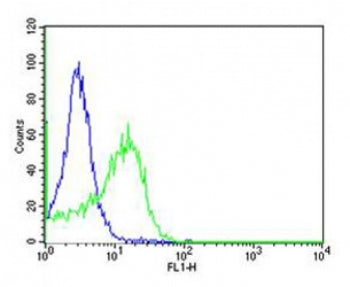 CD34 Antibody