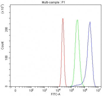 Flow cytometry testing of human U-2 OS cells with TSPY1/2/3/4 antibody at 1ug/million cells (blocked