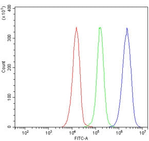 VLDLR Antibody / VLDL Receptor