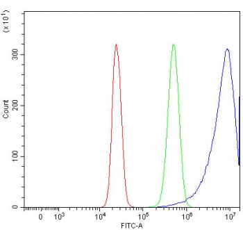 Flow cytometry testing of human HepG2 cells with REP15 antibody at 1ug/million cells (blocked with g
