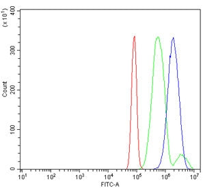 HIP2 Antibody / Huntingtin interacting protein 2 / UBE2K