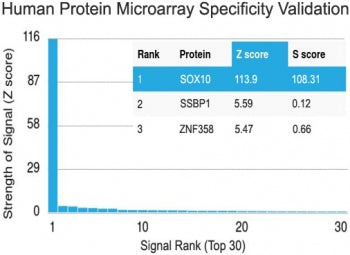 Protein array validation of the SOX10 antibody: Analysis of HuProt(TM) microarray containing more th