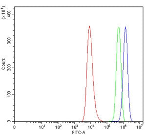 Flow cytometry testing of human HEL cells with Alpha/beta-hydrolase 4 antibody at 1ug/million cells 