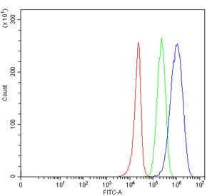 Flow cytometry testing of human 293T cells with TRIM3 antibody at 1ug/million cells (blocked with go