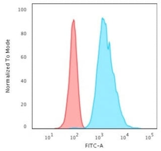 Flow cytometry testing of permeabilized human HeLa cells with Cytokeratin 8 antibody (clone H1); Red