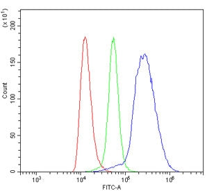 Il4r Antibody / Il4 receptor