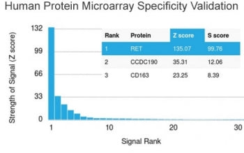 Analysis of HuProt(TM) microarray containing more than 19,000 full-length human proteins using c-RET