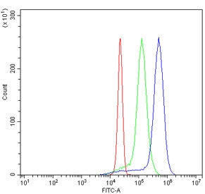 Flow cytometry testing of human U937 cells with SKAP2 antibody at 1ug/million cells (blocked with go