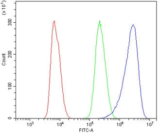 DR3 Antibody / Death Receptor 3