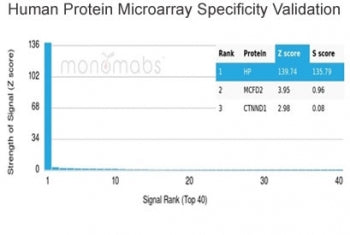 Analysis of HuProt(TM) microarray containing more than 19,000 full-length human proteins using Hapto