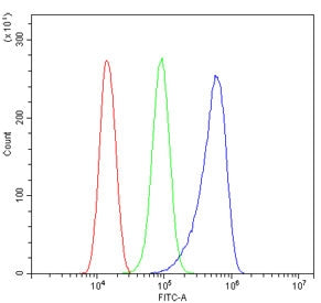 Flow cytometry testing of human ThP-1 cells with MLC1 antibody at 1ug/million cells (blocked with go