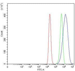 GPBAR1 Antibody / TGR5
