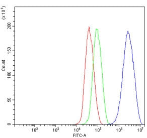 Flow cytometry testing of human HepG2 cells with Dexras1 antibody at 1ug/million cells (blocked with