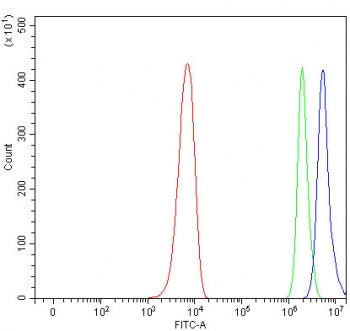 Flow cytometry testing of fixed and permeabilized human PC-3 cells with AS3 antibody at 1ug/million 