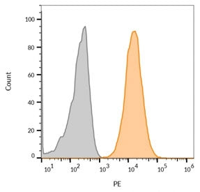 CD63 Antibody / LAMP-3