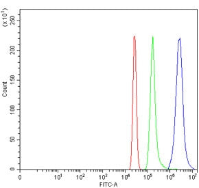 Flow cytometry testing of human HL60 cells with WDFY1 antibody at 1ug/million cells (blocked with go