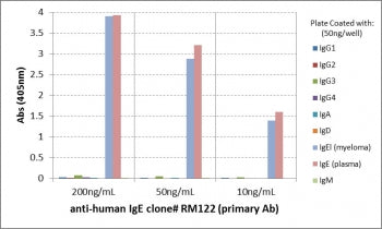 Human IgE Antibody