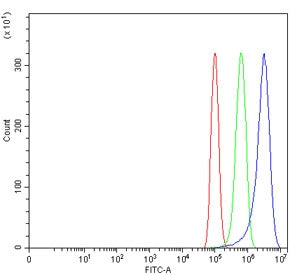 Flow cytometry testing of human PC-3 cells with WNT7A antibody at 1ug/million cells (blocked with go