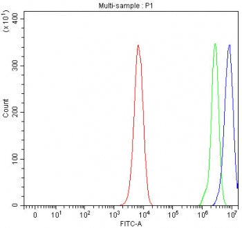 Flow cytometry testing of human K562 cells with RNase H2 subunit A antibody at 1ug/million cells (bl