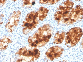 IHC staining of FFPE human colon with ITLN1 antibody. HIER: boil tissue sections in pH 9 10mM Tris w