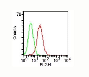 Surface flow cytometric analysis of CD34 on KG-1 cells using CD34 antibody (ICO-115, red) and isotyp