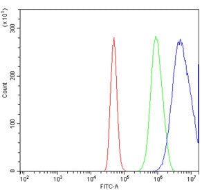 Proteasome subunit beta type-6 Antibody / PSMB6