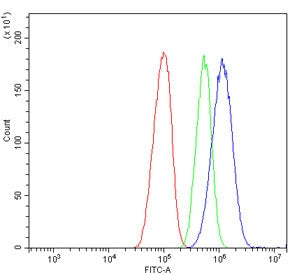 ATP5MC1/2/3 Antibody