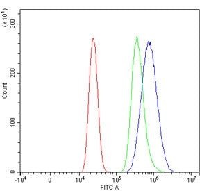 Cd16 Antibody