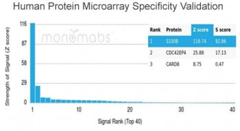 Analysis of HuProt(TM) microarray containing more than 19,000 full-length human proteins using S100B