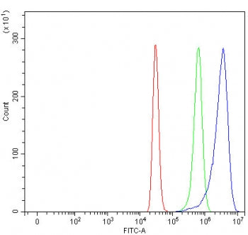 Flow cytometry testing of fixed and permeabilized human HepG2 cells with SULT1C4 antibody at 1ug/mil