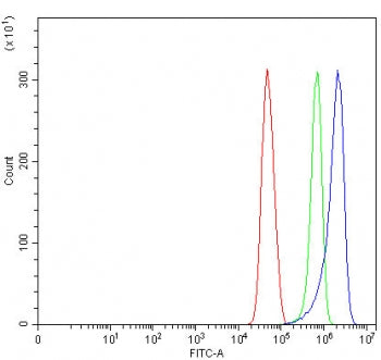 Flow cytometry testing of human U-251 cells with Sorting nexin 31 antibody at 1ug/million cells (blo
