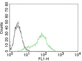 FACS testing of permeabilized human 293T cells with Ku70 + Ku80 antibody. Black=cells alone; Gray=is