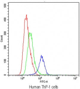 Flow cytometry testing of human ThP-1 cells with TLR1 antibody at 1ug/10^6 cells (blocked with goat 