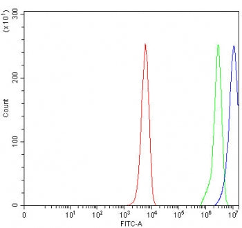 Flow cytometry testing of human K562 cells with Relaxin 3 antibody at 1ug/million cells (blocked wit