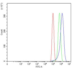 Flow cytometry testing of human PC-3 cells with WNT7A antibody at 1ug/million cells (blocked with go