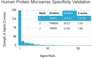 Analysis of HuProt(TM) microarray containing more than 19,000 full-length human proteins using INSM2