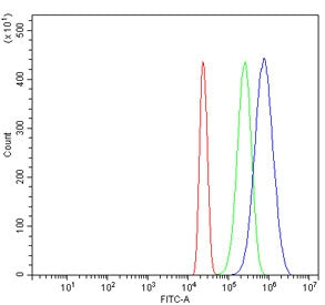 Flow cytometry testing of human HL60 cells with E2F3 antibody at 1ug/million cells (blocked with goa