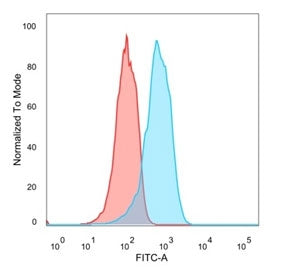 Flow cytometry testing of PFA-fixed human MCF7 cells with Estrogen Receptor beta 1 antibody (clone P