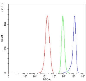 Flow cytometry testing of mouse ANA-1 cells with 4-1BBL antibody at 1ug/million cells (blocked with 