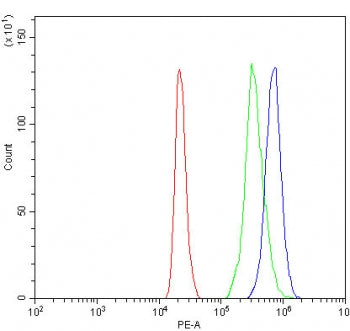 Flow cytometry testing of human HL-60 cells with RNF44 antibody at 1ug/million cells (blocked with g