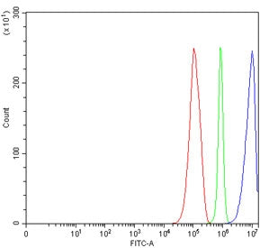 Flow cytometry testing of human RT4 cells with TRIM29 antibody at 1ug/million cells (blocked with go