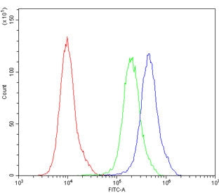 Flow cytometry testing of human PC-3 cells with Aquaporin 2 antibody at 1ug/million cells (blocked w