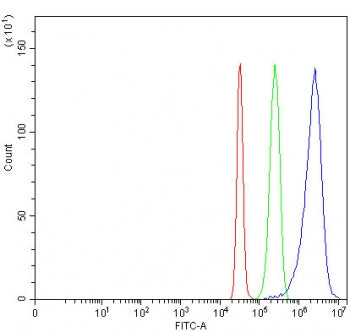 PLLP Antibody / Plasmolipin