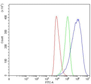 USP9X Antibody / FAM / DFFRX