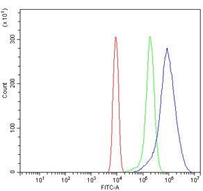 Hjurp Antibody / Fleg1