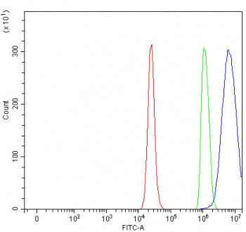 Flow cytometry testing of fixed and permeabilized human RT4 cells with PRSS22 antibody at 1ug/millio